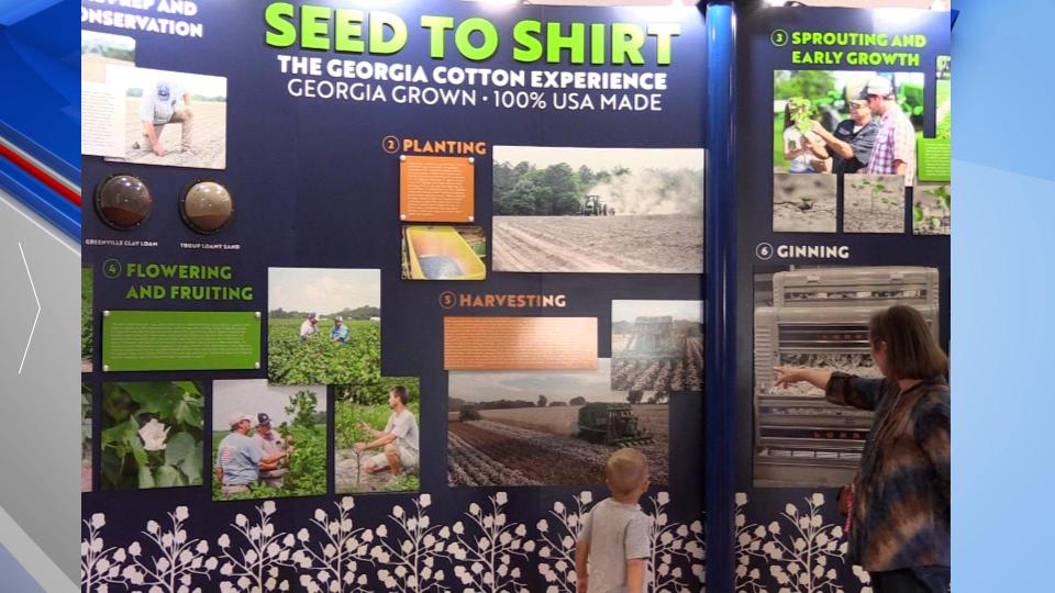Seed To Shirt